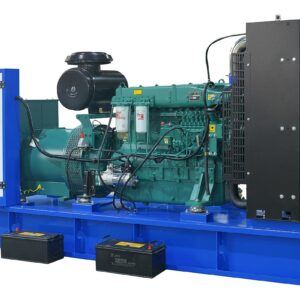 Дизельный генератор ТСС АД-300С-Т400-2РМ5 ПРОФ