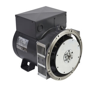 Mecc Alte ECP28-1VS/4 (6,2 кВт)